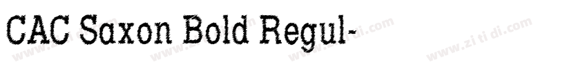 CAC Saxon Bold Regul字体转换